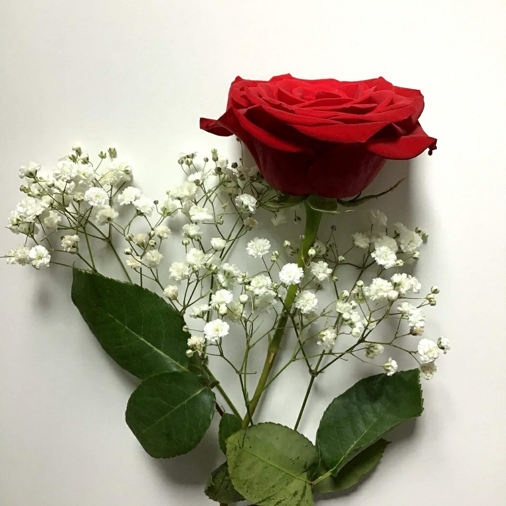 Meet your Posher, Abigail